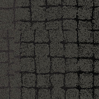 Ковровая плитка Interface Collection Human Connections Sett In Stone 8342004 Onyx фото 1 | FLOORDEALER